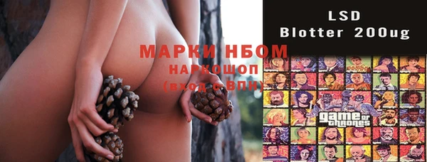 дурь Краснослободск