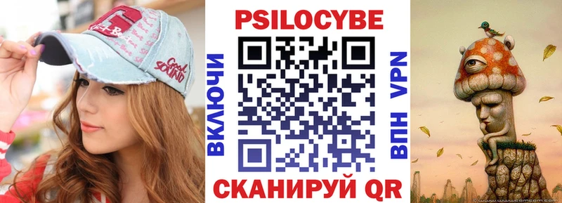 omg ссылки  Лесосибирск  Галлюциногенные грибы Psilocybe 