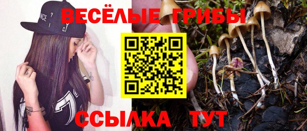 Лесосибирск  Псилоцибиновые грибы ЛСД  Вход с VPN  Псилоцибиновые грибы MAGIC MUSHROOMS 