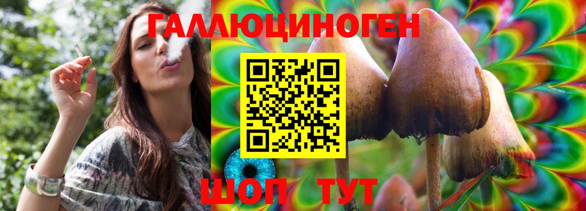 Галлюциногенные грибы мицелий Лесосибирск